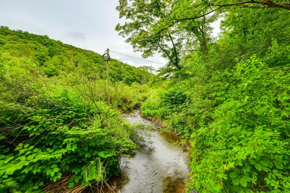 Mtn-View Deck and Grill Creekside Catskills Cabin!